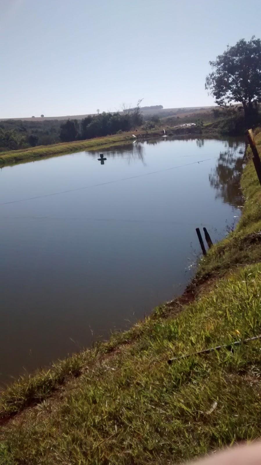Registro de marca em Quarto Centenário, Paraná