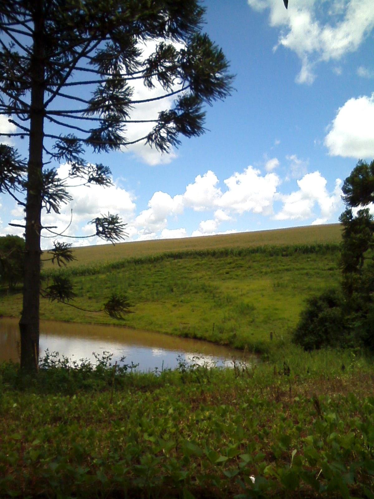 Registro de marca em Quatro Irmãos, Rio Grande do Sul