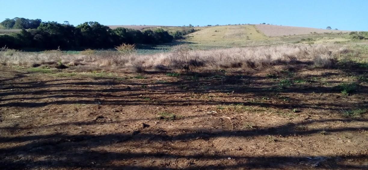 Registro de marca em Quebrangulo, Alagoas