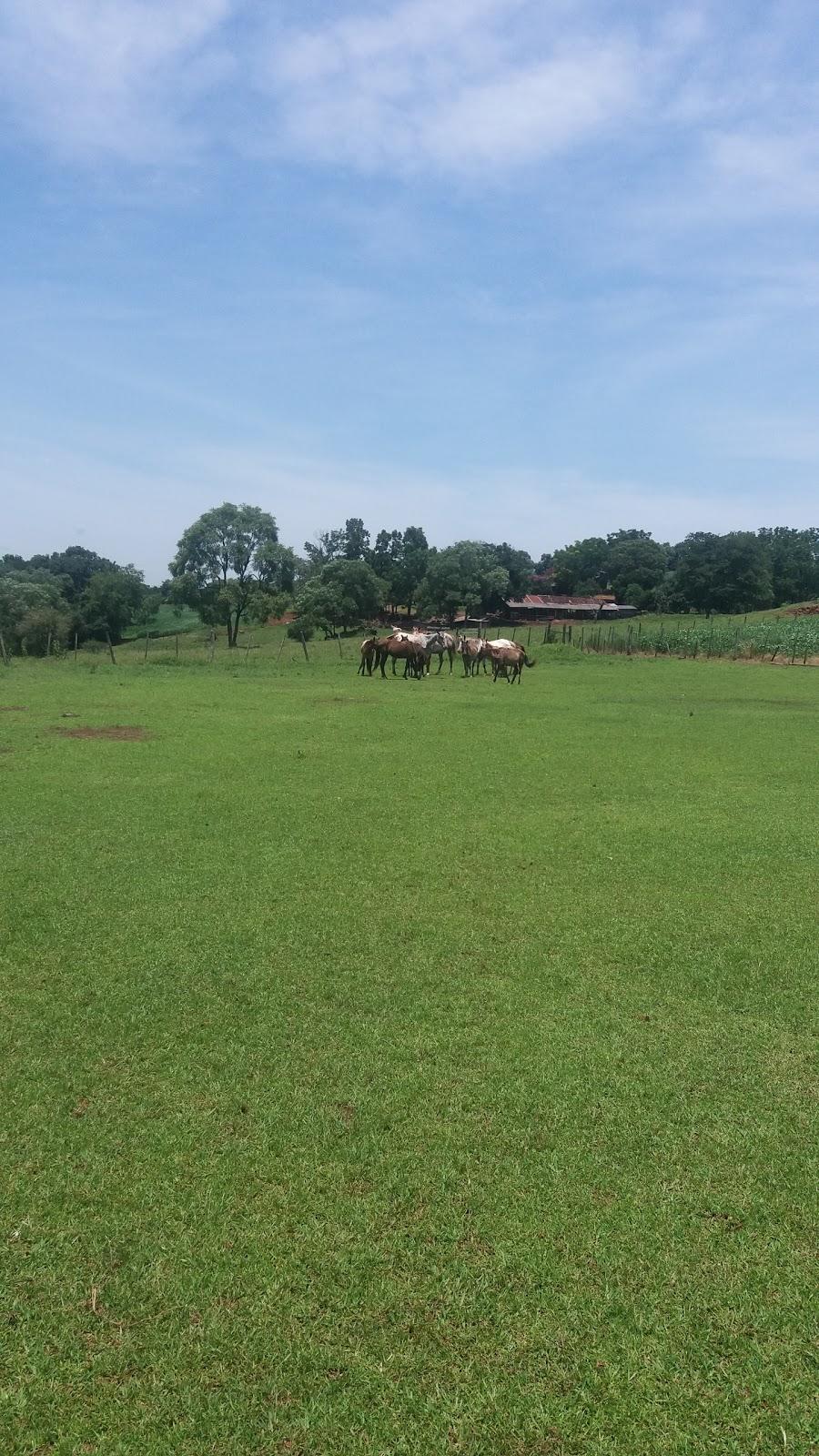 Registro de marca em Quinze de Novembro, Rio Grande do Sul