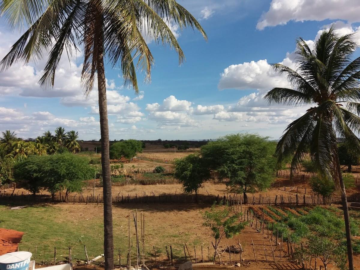 Registro de marca em Quixaba, Pernambuco