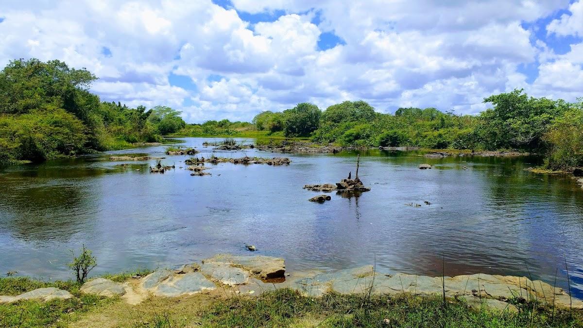 Registro de marca em Rafael Jambeiro, Bahia