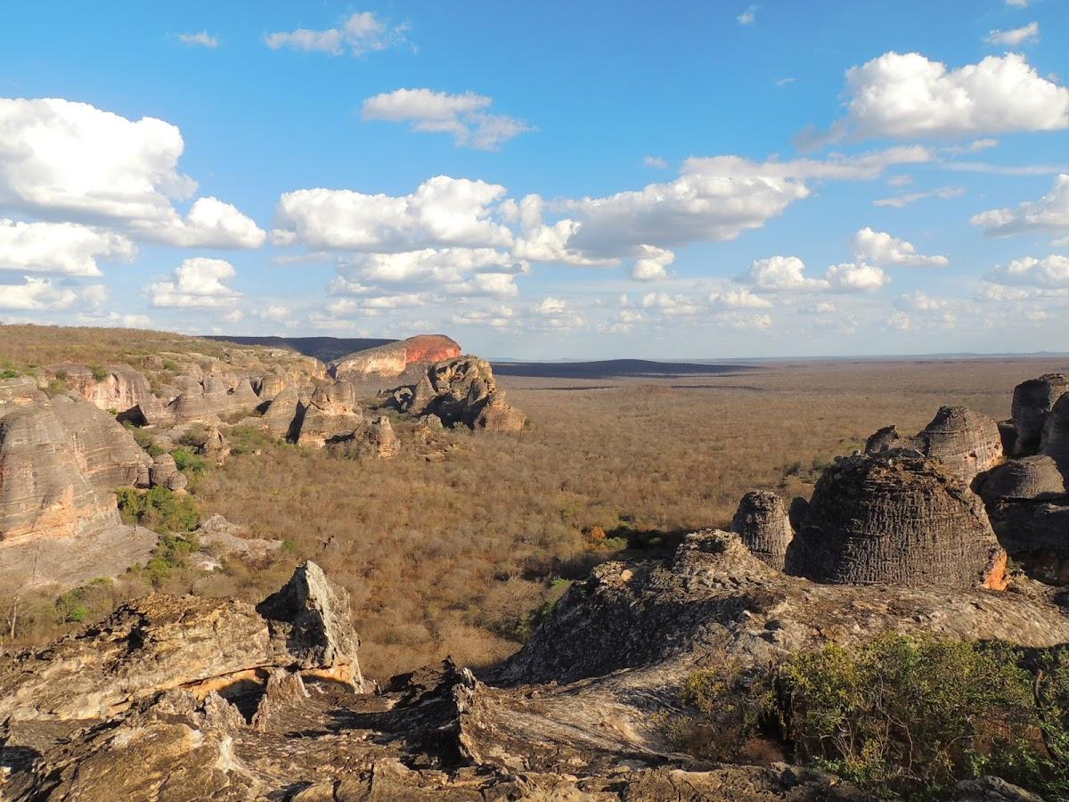 Registro de marca em Redenção do Gurguéia, Piauí