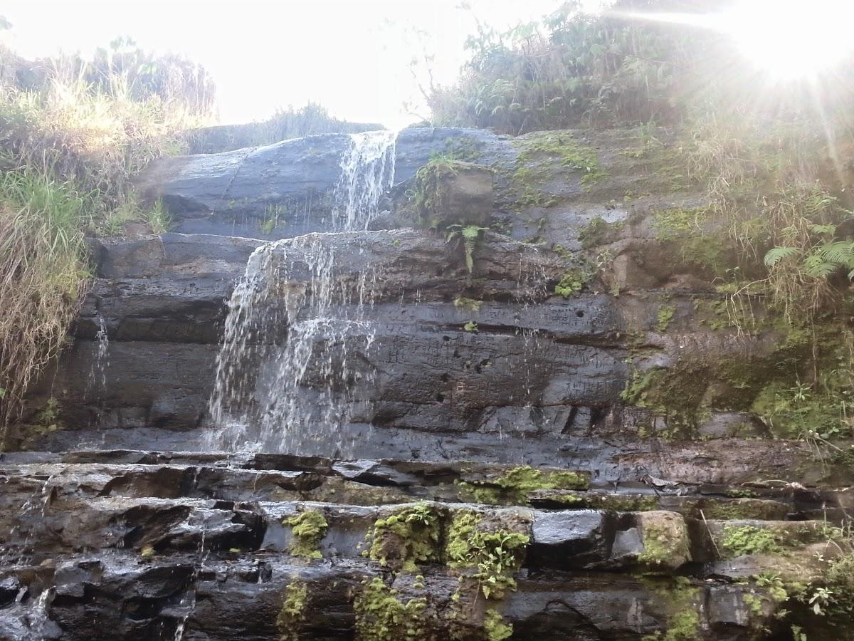 Registro de marca em Regente Feijó, São Paulo