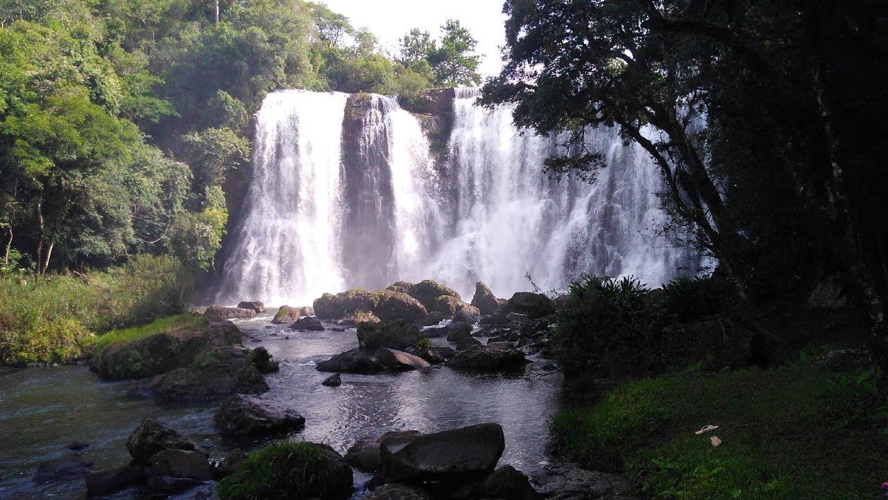 Registro de marca em Reserva do Iguaçu, Paraná
