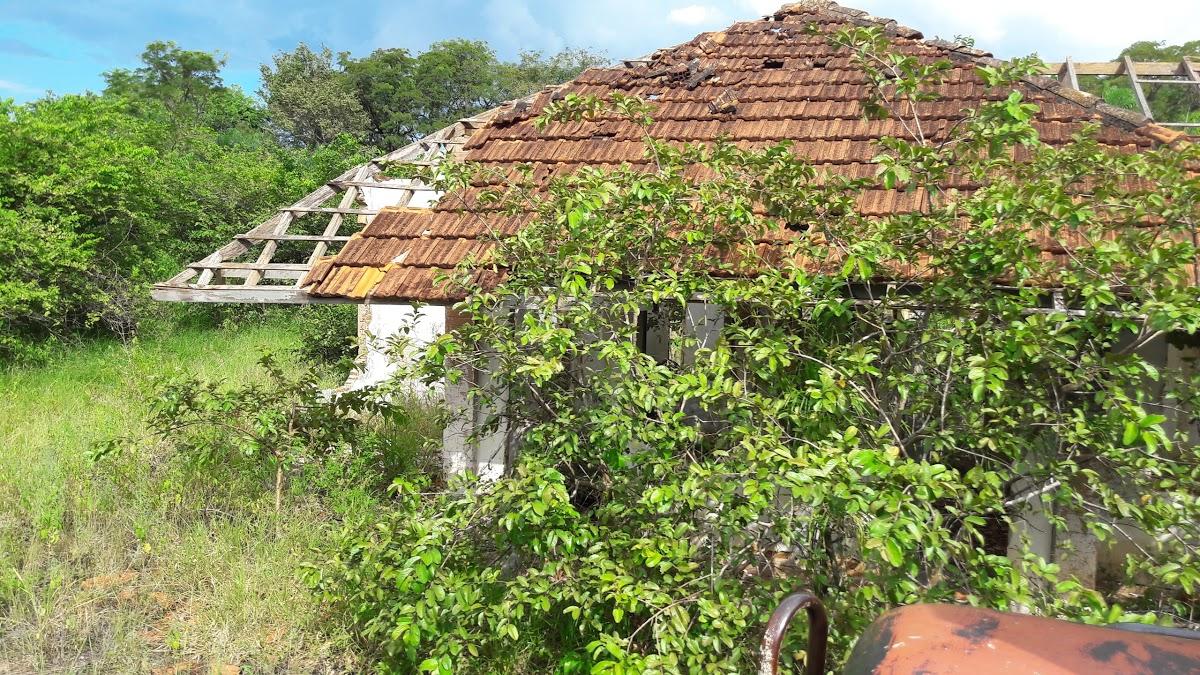 Registro de marca em Ribas do Rio Pardo, Mato Grosso do Sul