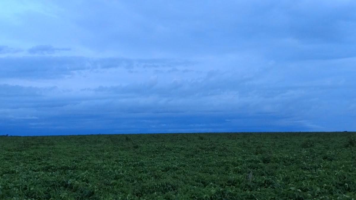 Registro de marca em Ribeirão Cascalheira, Mato Grosso
