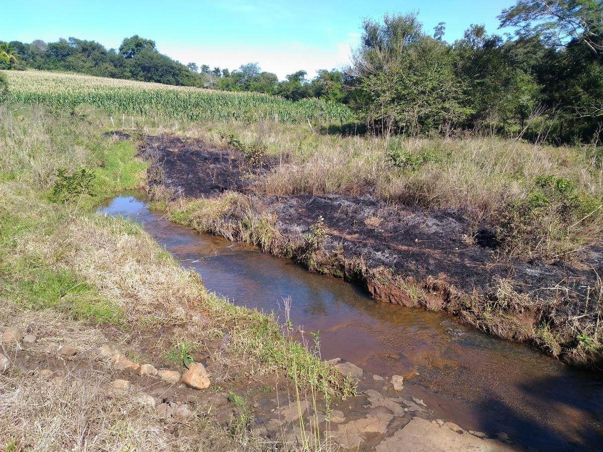 Registro de marca em Ribeirão do Pinhal, Paraná