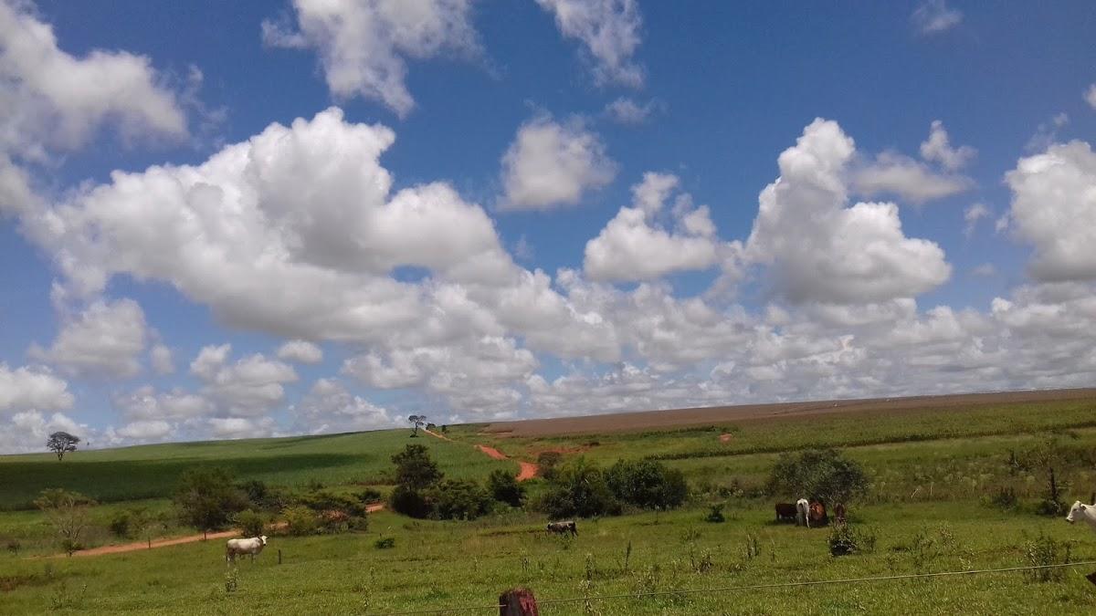 Registro de marca em Ribeirão Dos Índios, São Paulo