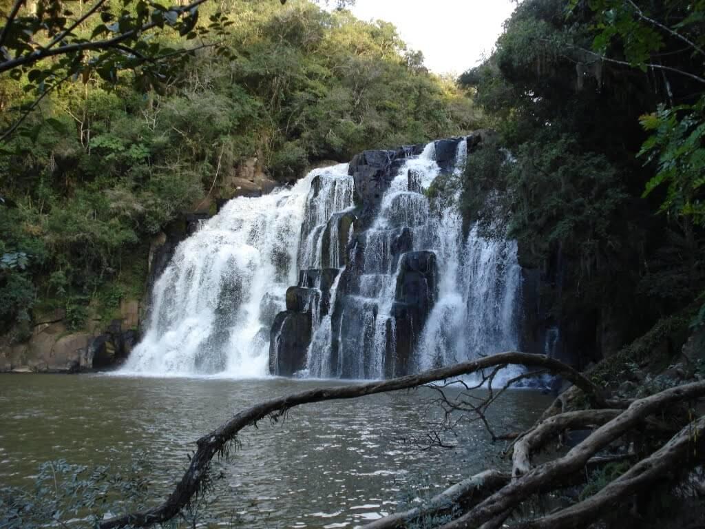 Registro de marca em Rio Azul, Paraná
