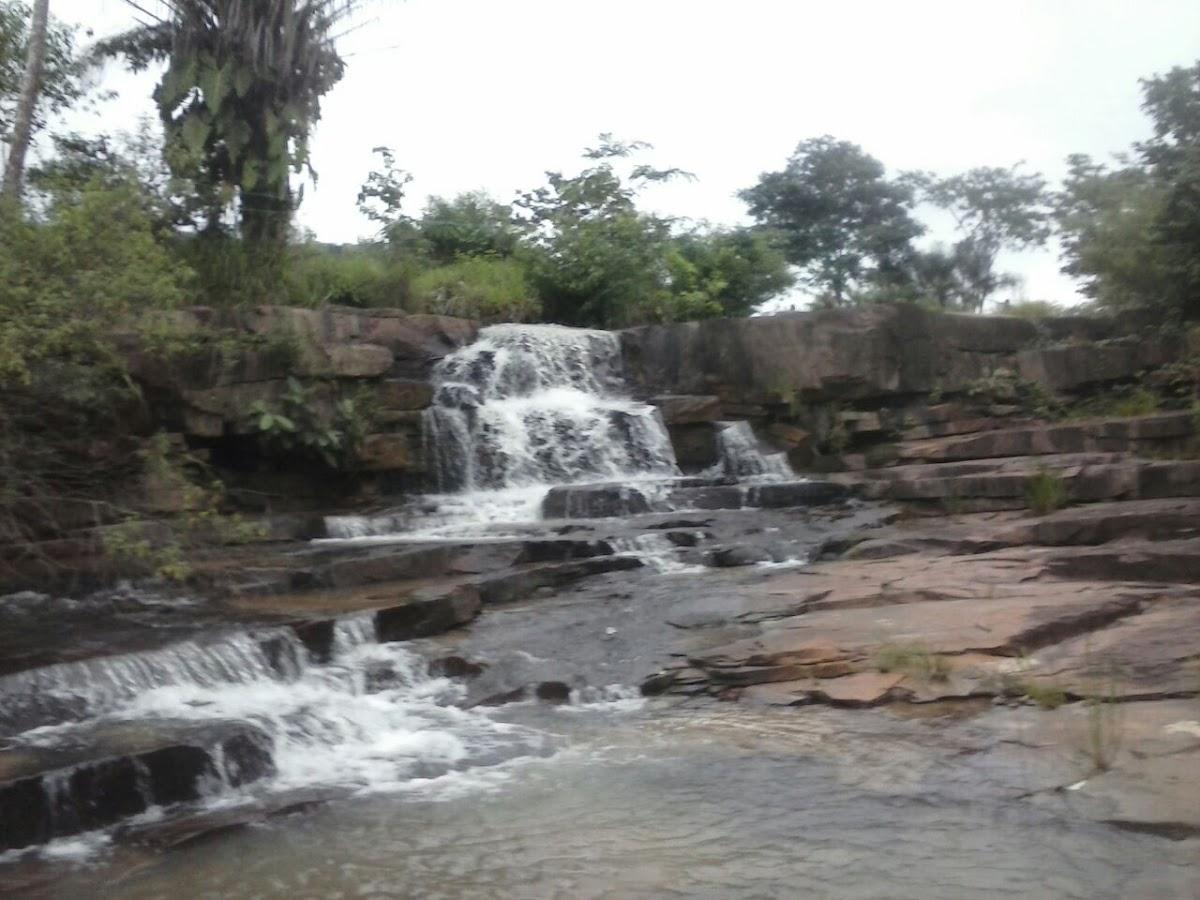 Registro de marca em Rio Branco, Mato Grosso