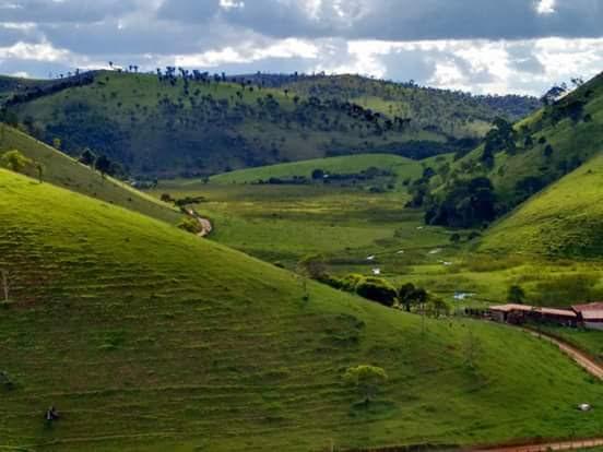 Registro de marca em Rio do Prado, Minas Gerais