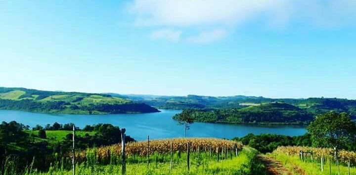 Registro de marca em Rio dos Índios, Rio Grande do Sul