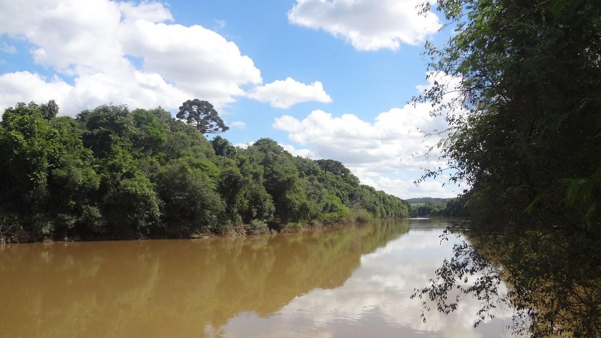 Registro de marca em Rio Negro, Paraná