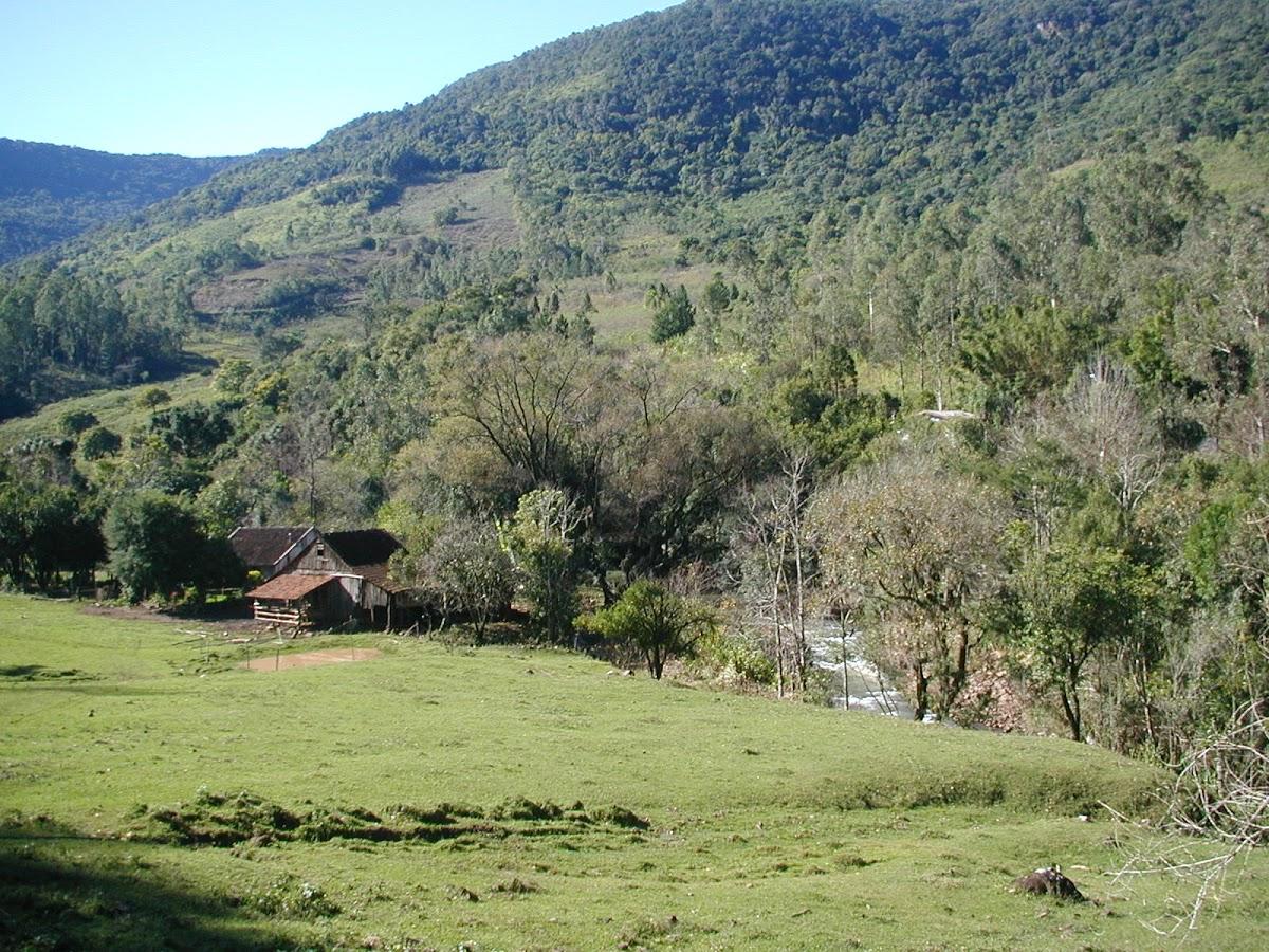 Registro de marca em Riozinho, Rio Grande do Sul