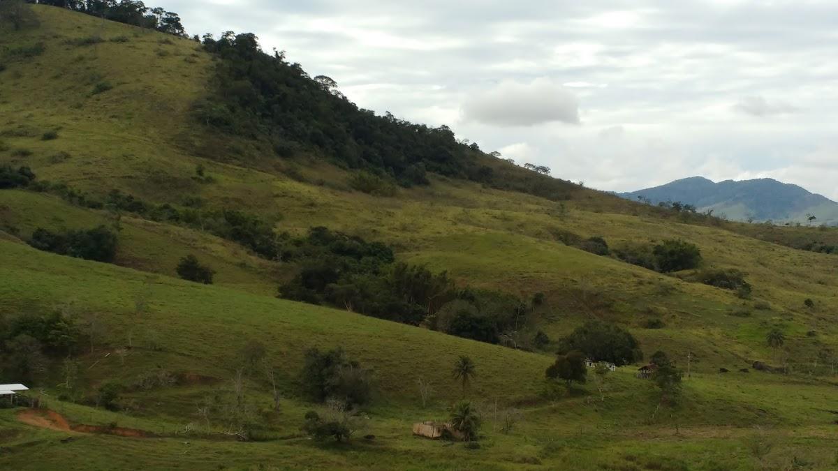 Registro de marca em Rochedo de Minas, Minas Gerais