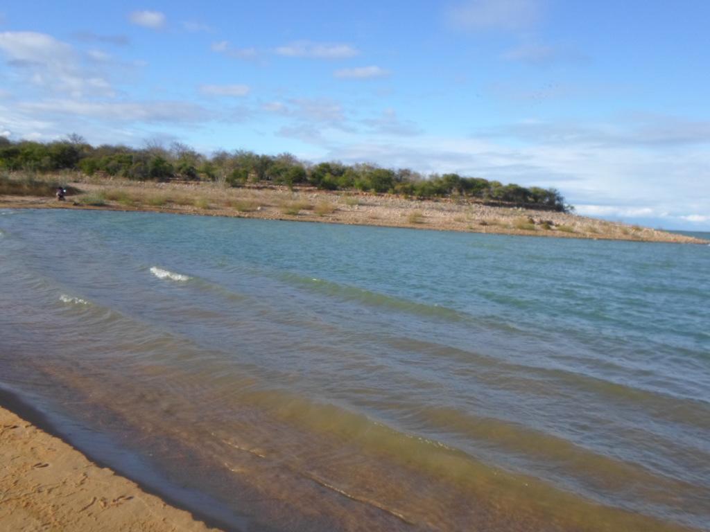 Registro de marca em Rodelas, Bahia