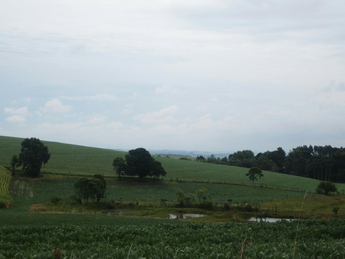 Registro de marca em Ronda Alta, Rio Grande do Sul