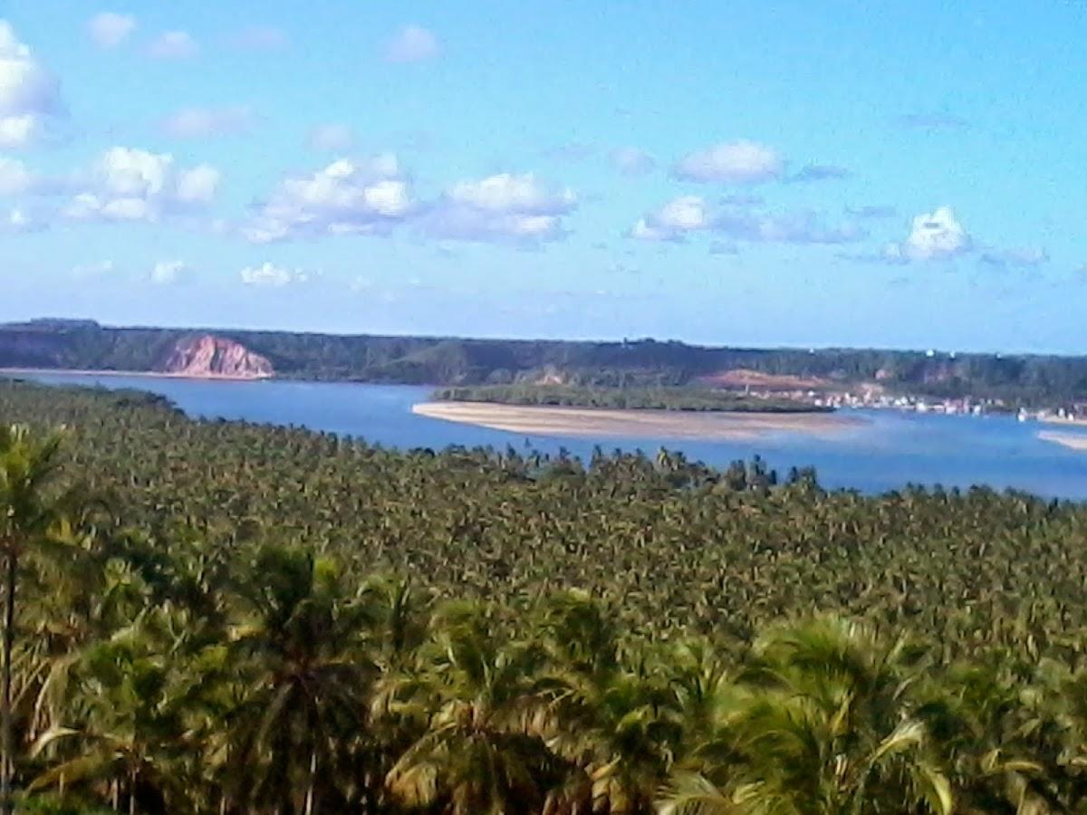 Registro de marca em Roteiro, Alagoas