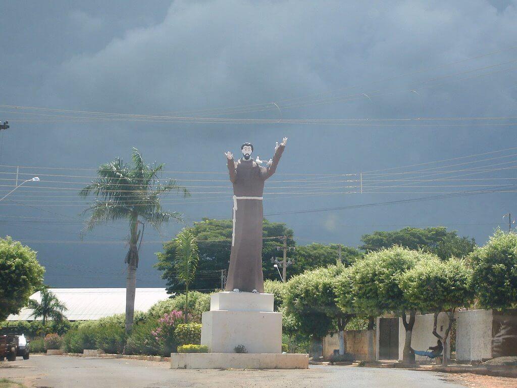 Registro de marca em Rubiácea, São Paulo