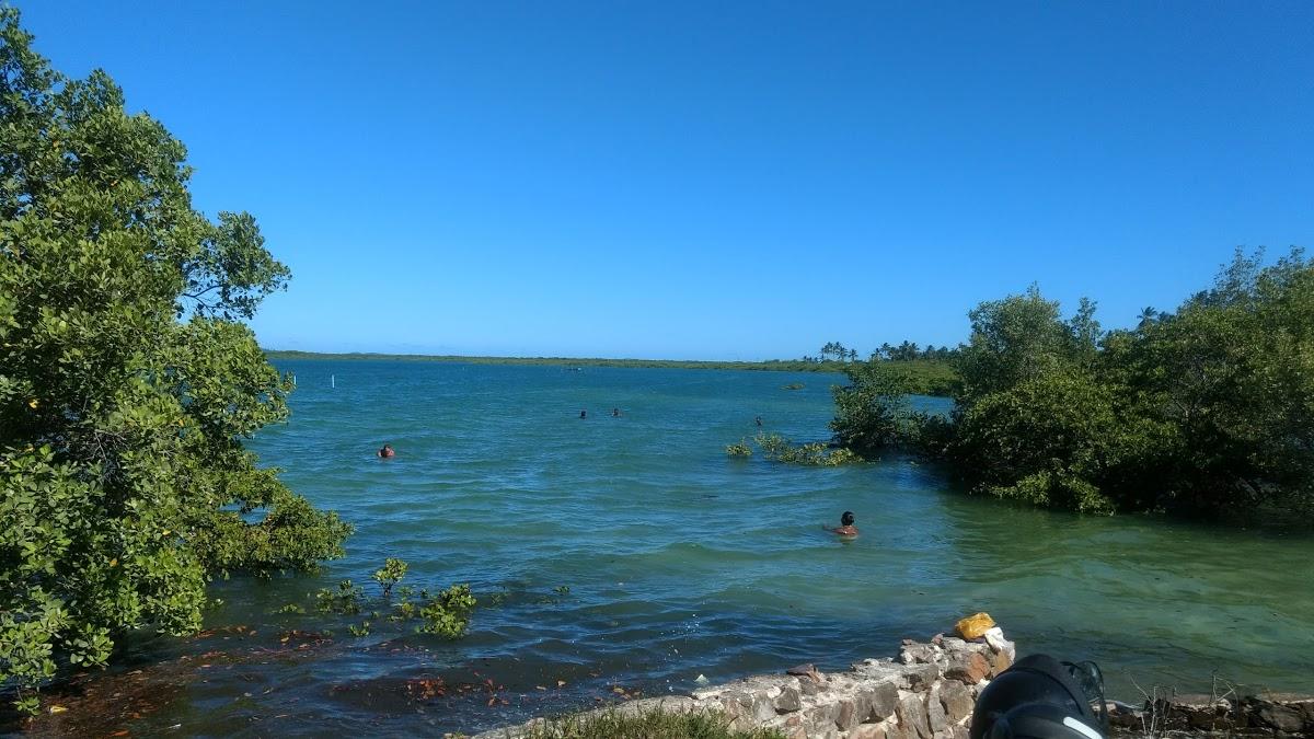 Registro de marca em Salinas da Margarida, Bahia