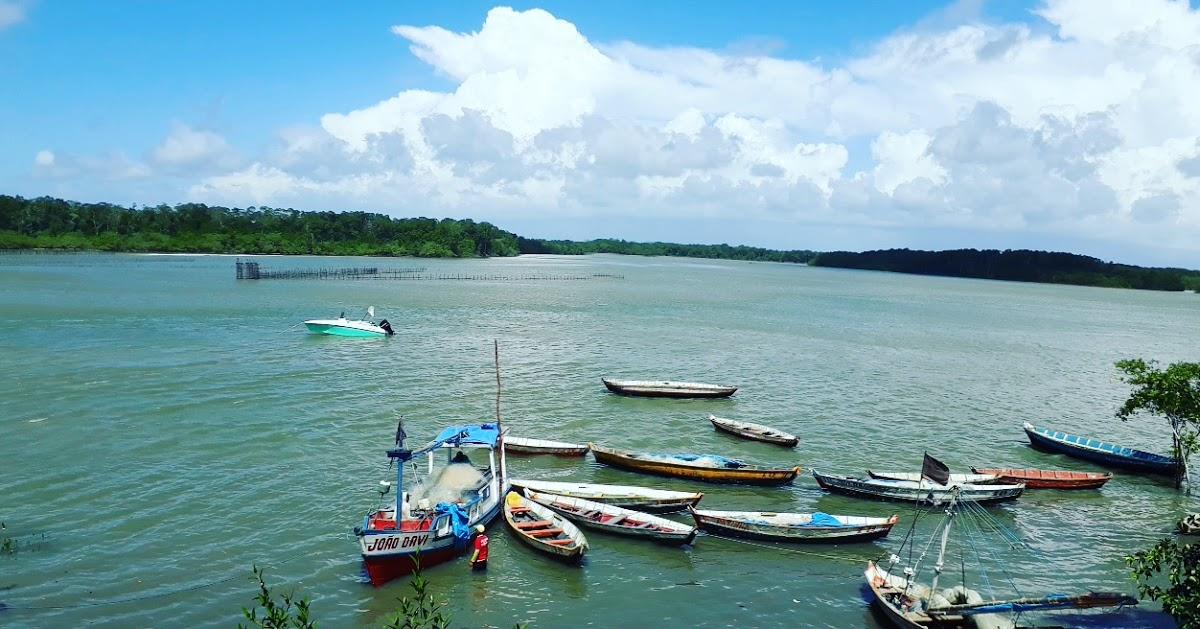 Registro de marca em Salinópolis, Pará