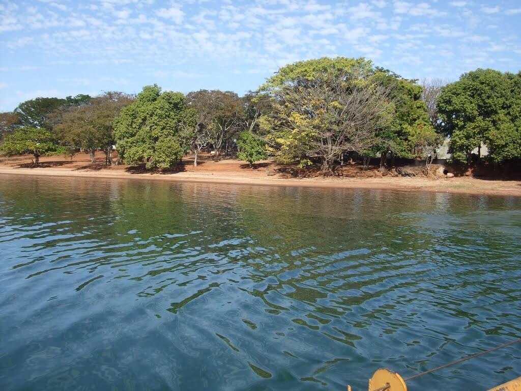Registro de marca em Santa Albertina, São Paulo