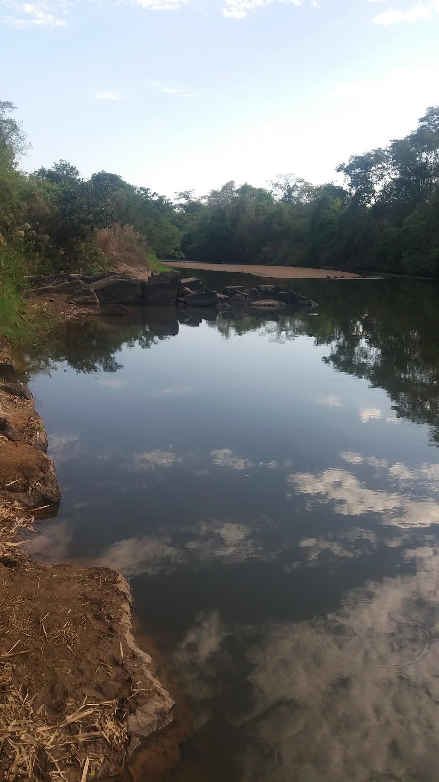 Registro de marca em Santa Cruz de Goiás, Goiás