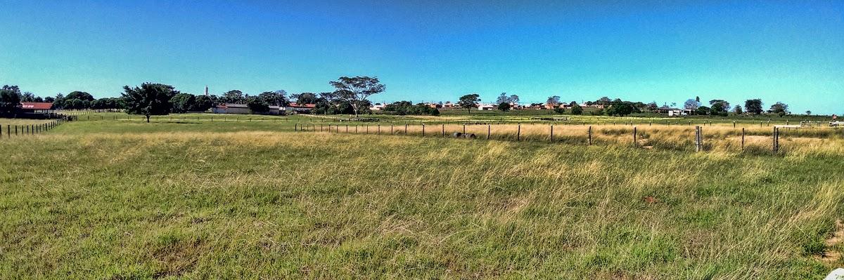 Registro de marca em Santa Cruz de Monte Castelo, Paraná