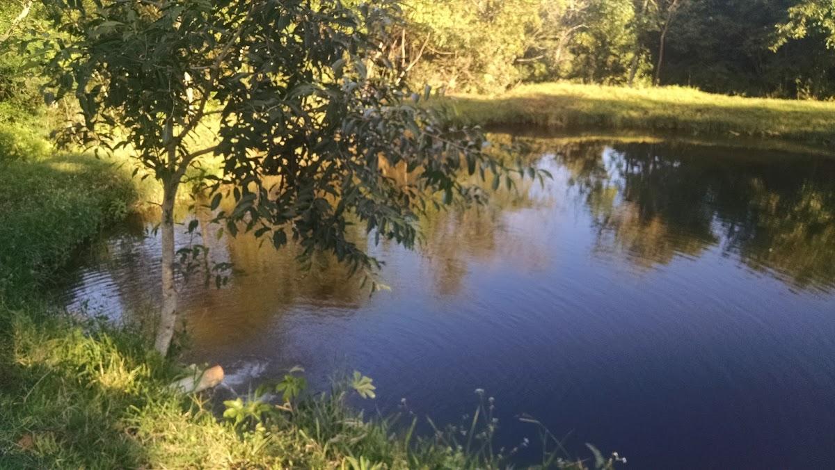 Registro de marca em Santa Fé, Paraná