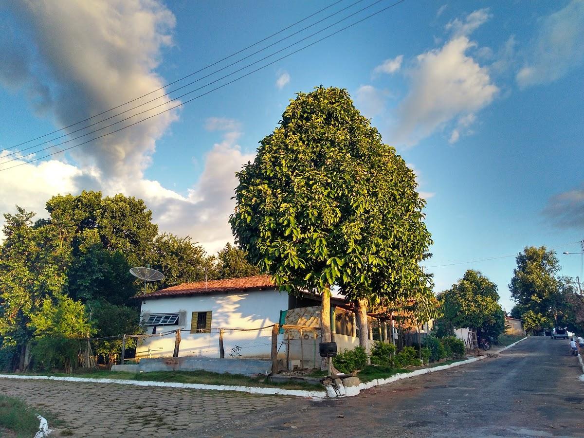 Registro de marca em Santa Isabel, Goiás