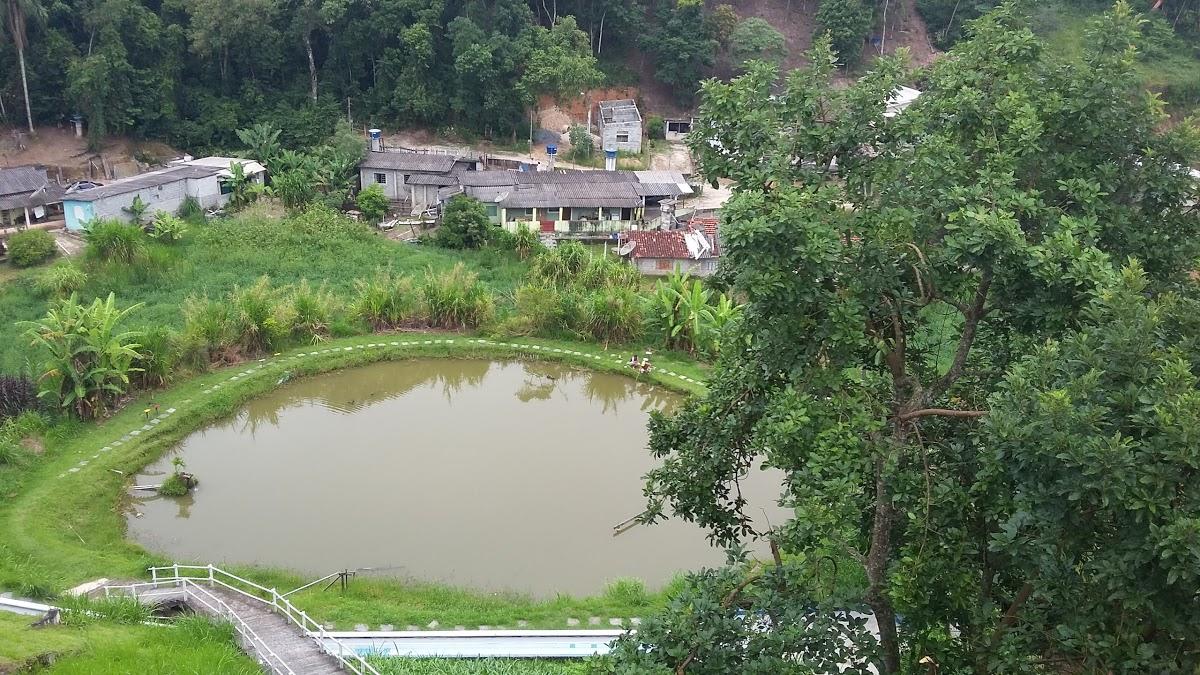 Registro de marca em Santa Isabel, São Paulo