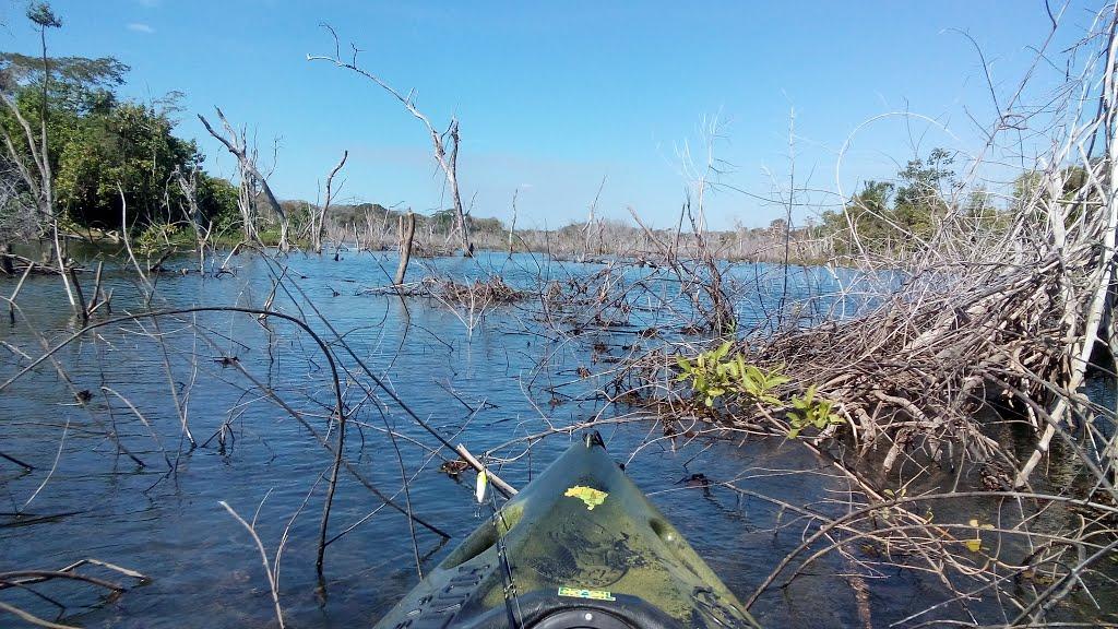 Registro de marca em Santa Maria do Tocantins, Tocantins