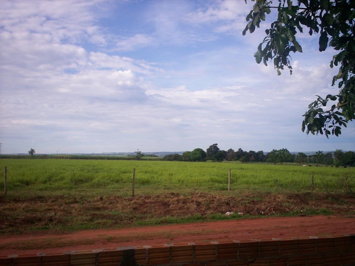 Registro de marca em Santa Mônica, Paraná