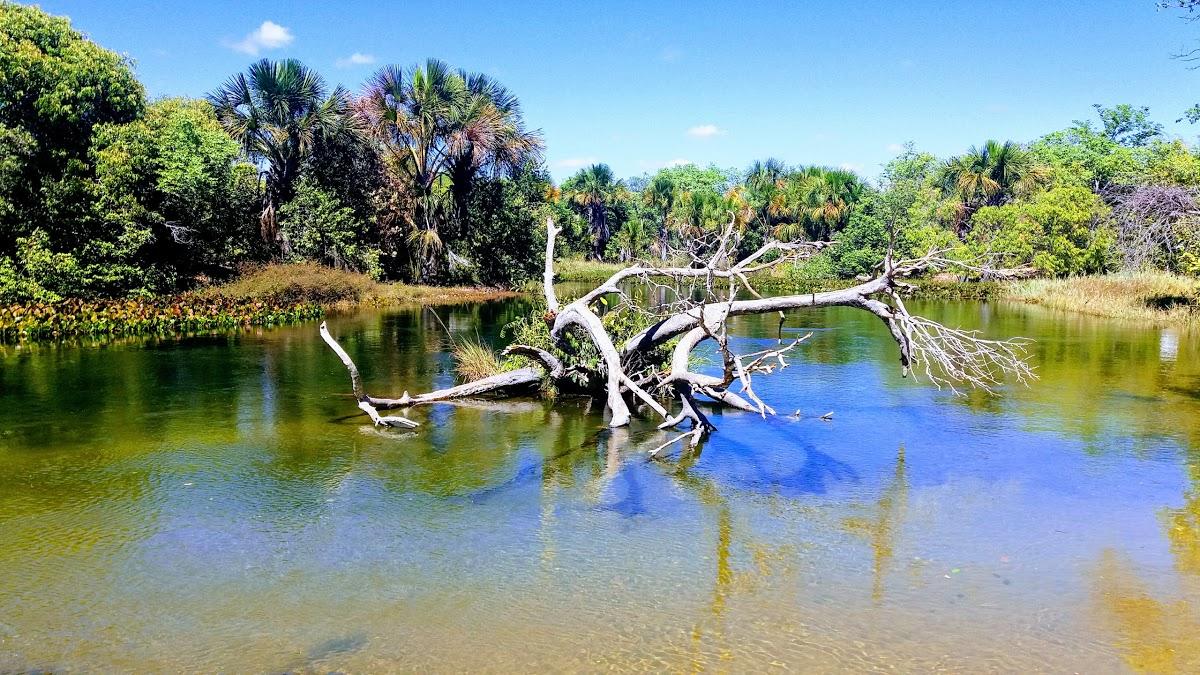 Registro de marca em Santa Rita de Cássia, Bahia
