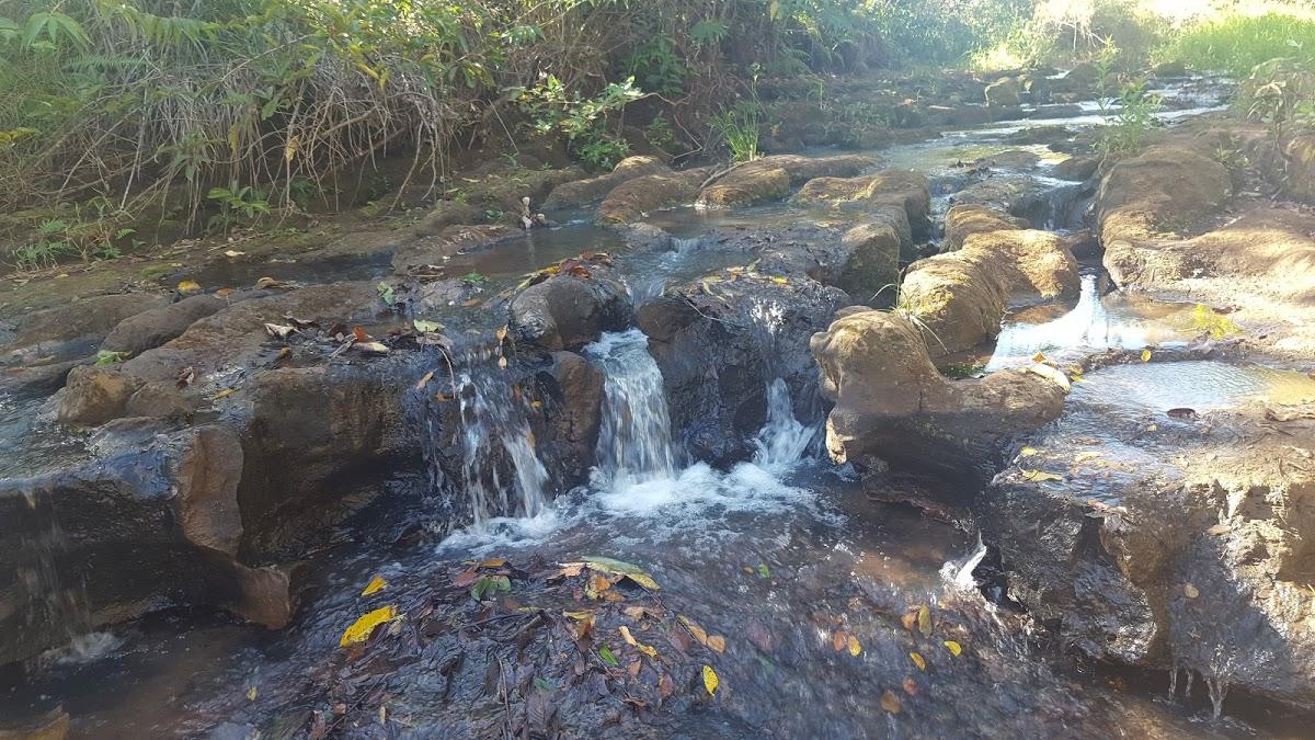 Registro de marca em Santa Salete, São Paulo