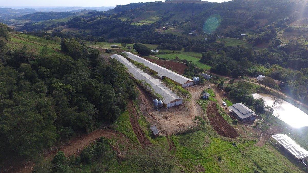 Registro de marca em Santa Terezinha do Progresso, Santa Catarina