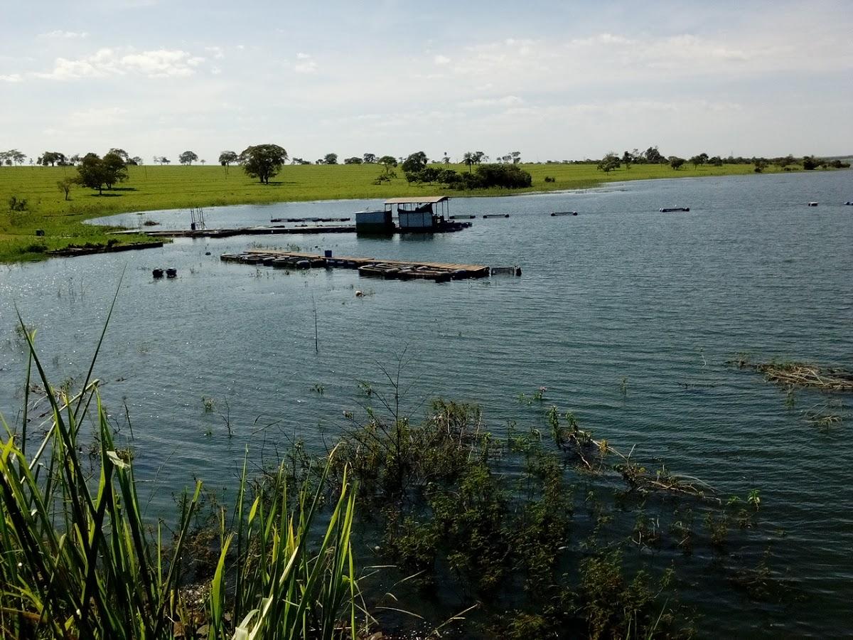 Registro de marca em Santana Da Ponte Pensa, São Paulo