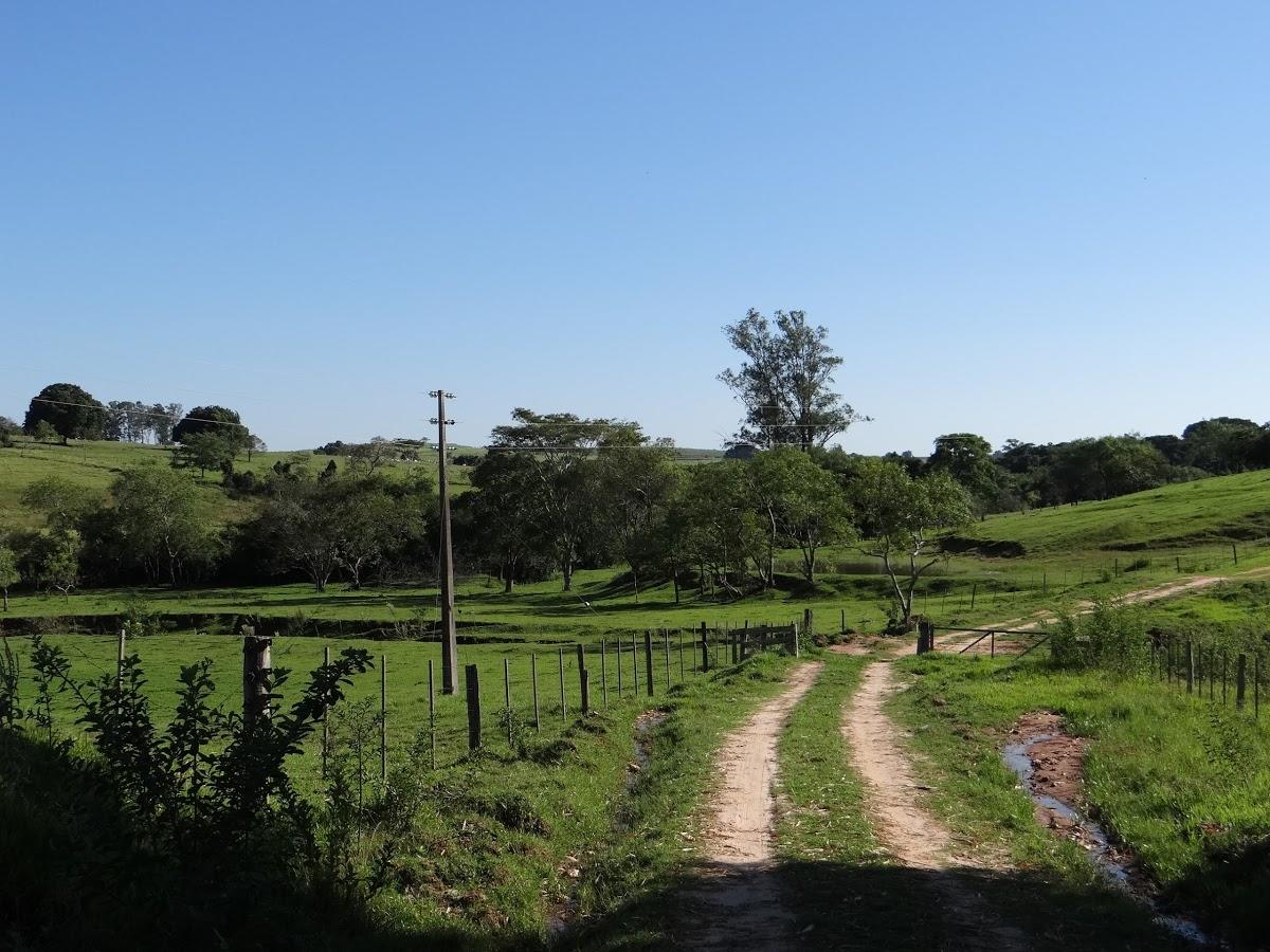 Registro de marca em Santo Anastácio, São Paulo