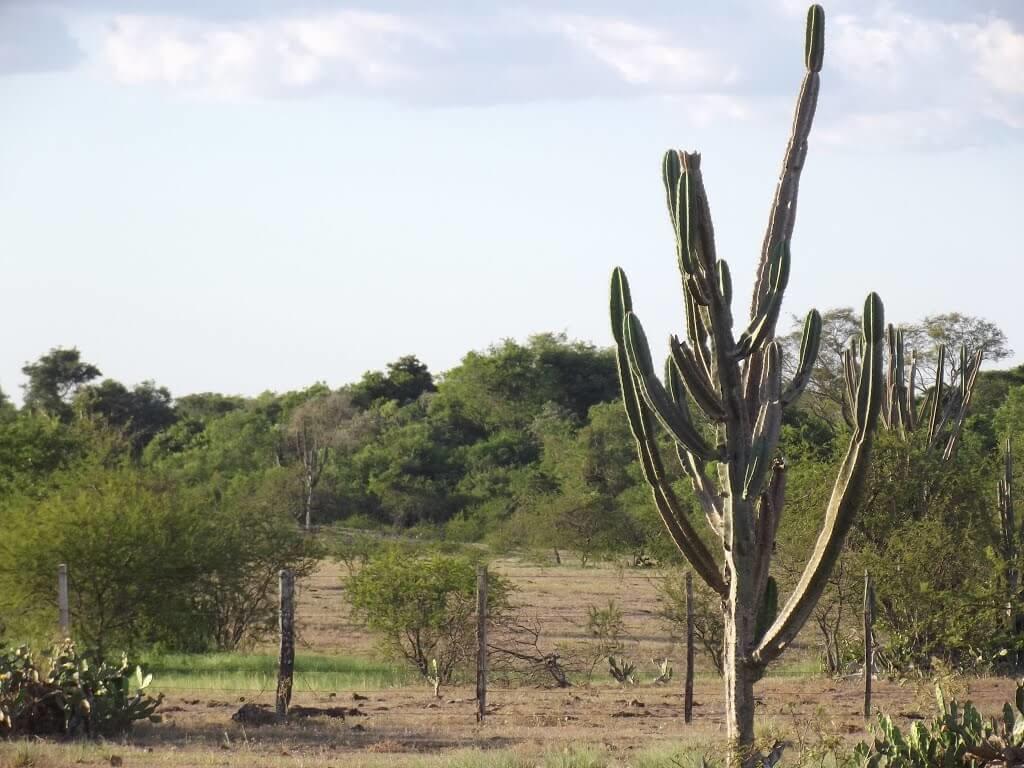 Registro de marca em Santo Antônio das Missões, Rio Grande do Sul