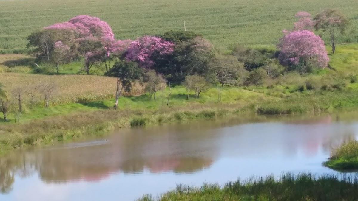 Registro de marca em Santo Antônio Do Jardim, São Paulo