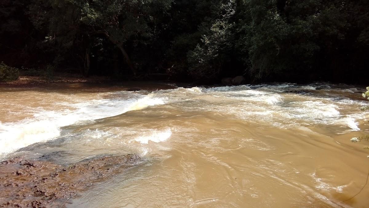 Registro de marca em Santo Antônio do Planalto, Rio Grande do Sul