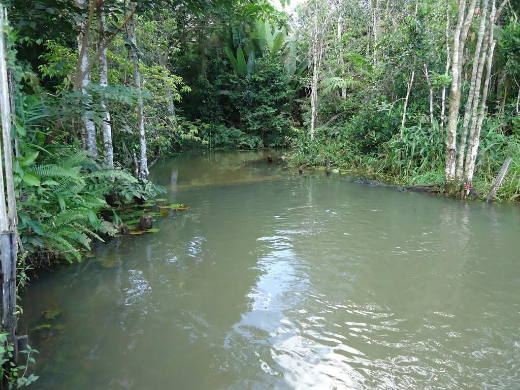 Registro de marca em Santo Antônio do Tauá, Pará