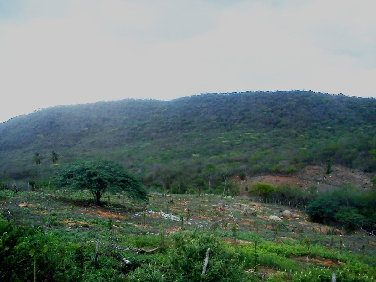 Registro de marca em São Bento do Trairí, Rio Grande do Norte