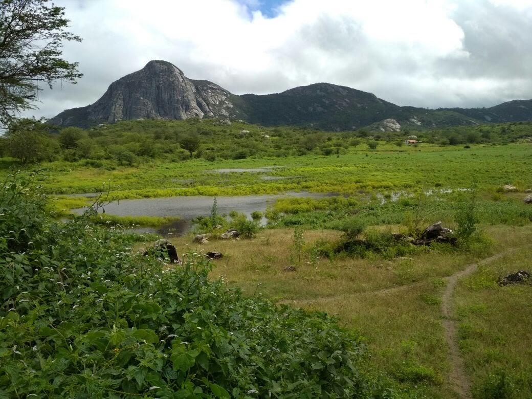 Registro de marca em São Caitano, Pernambuco