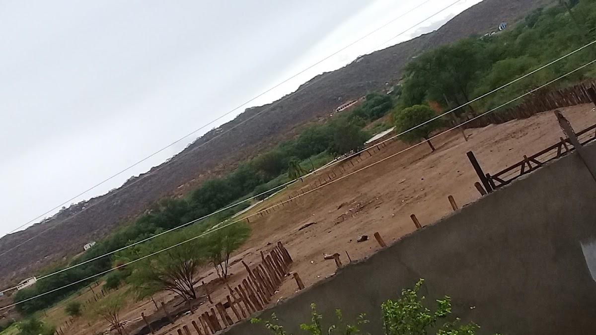 Registro de marca em São Domingos do Cariri, Paraíba