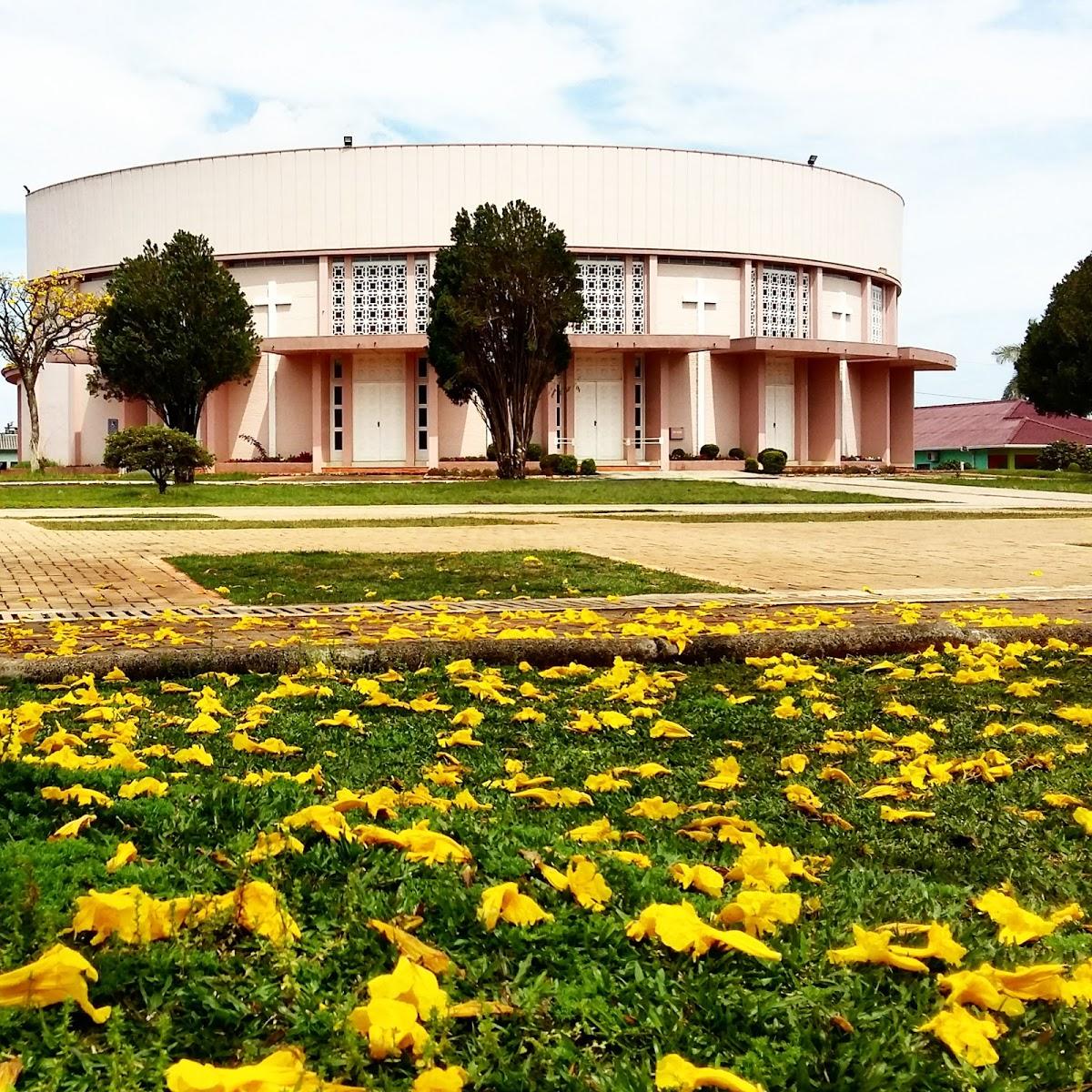 Registro de marca em São Domingos, Santa Catarina