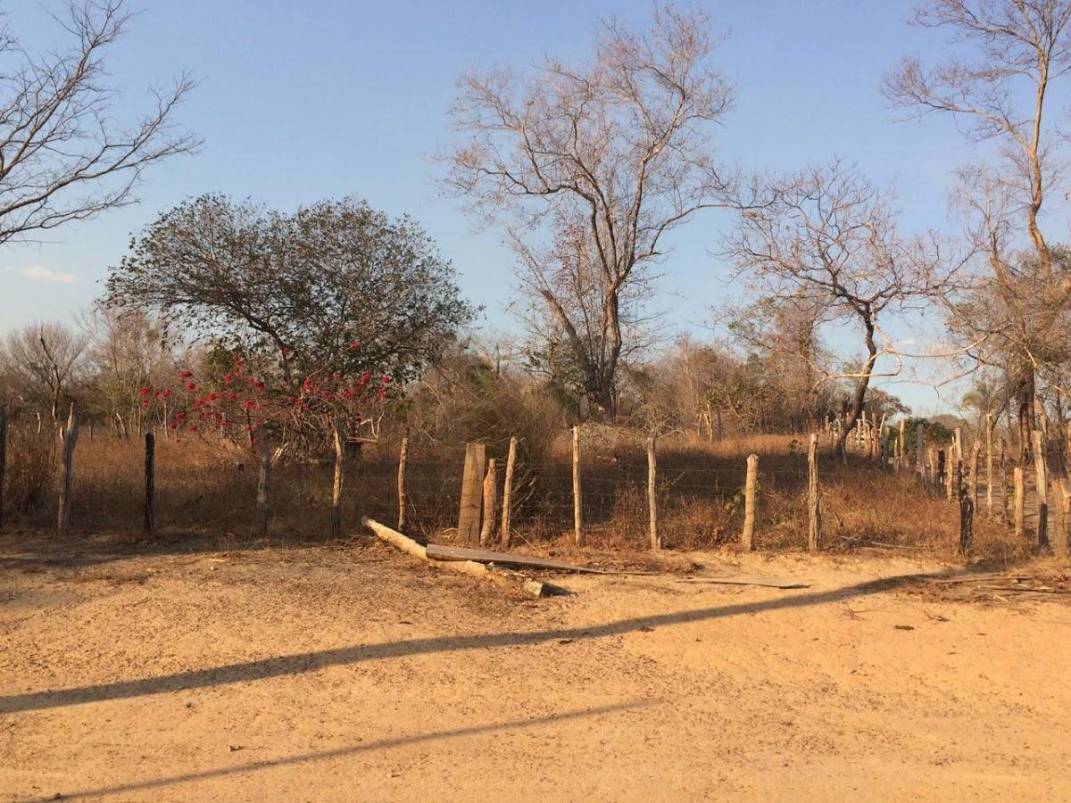 Registro de marca em São Félix de Balsas, Maranhão