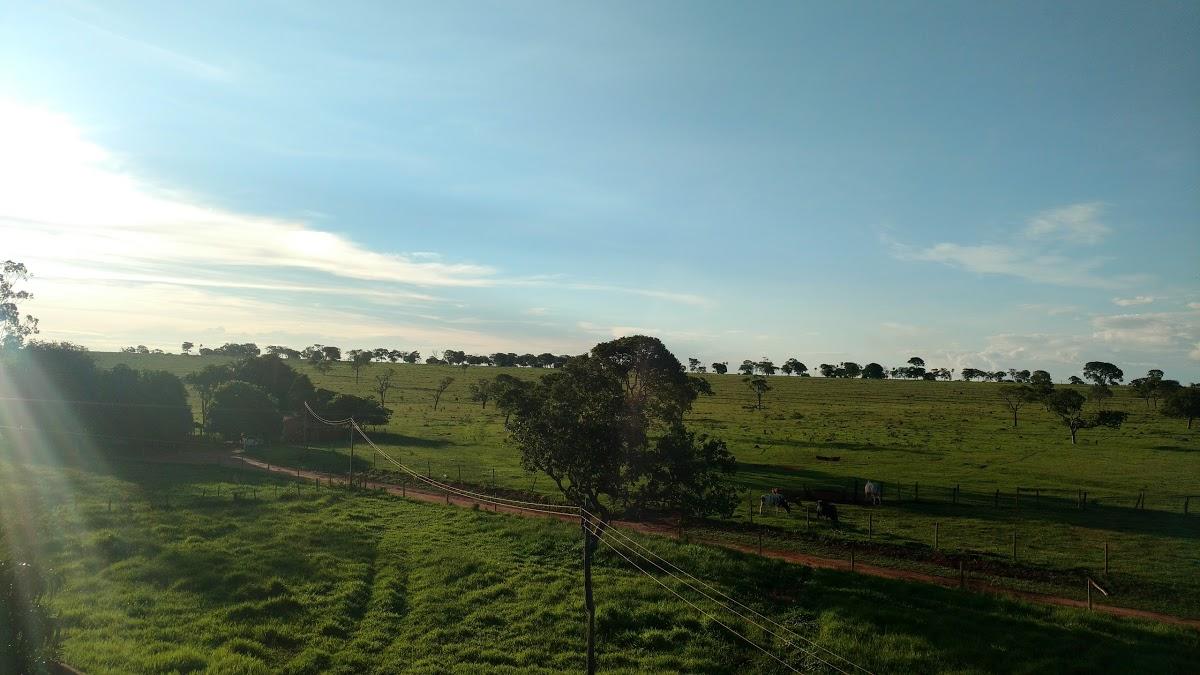 Registro de marca em São Francisco de Sales, Minas Gerais