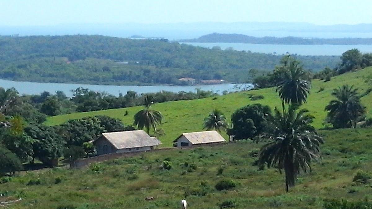 Registro de marca em São Francisco do Conde, Bahia